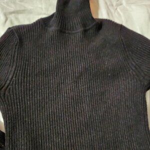 Express Ribbed Fitted Turtleneck